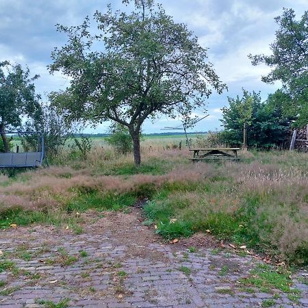 Logeerruimte In Gerenoveerde Boerderij In Wachtum Apartment Ngoại thất bức ảnh