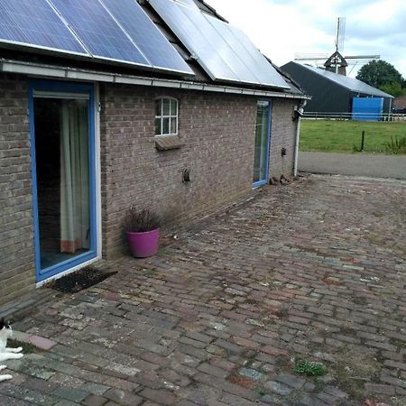 Logeerruimte In Gerenoveerde Boerderij In Wachtum Apartment Ngoại thất bức ảnh