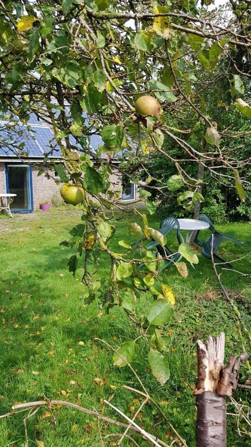 Logeerruimte In Gerenoveerde Boerderij In Wachtum Apartment Ngoại thất bức ảnh