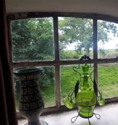 Logeerruimte In Gerenoveerde Boerderij In Wachtum Apartment Ngoại thất bức ảnh