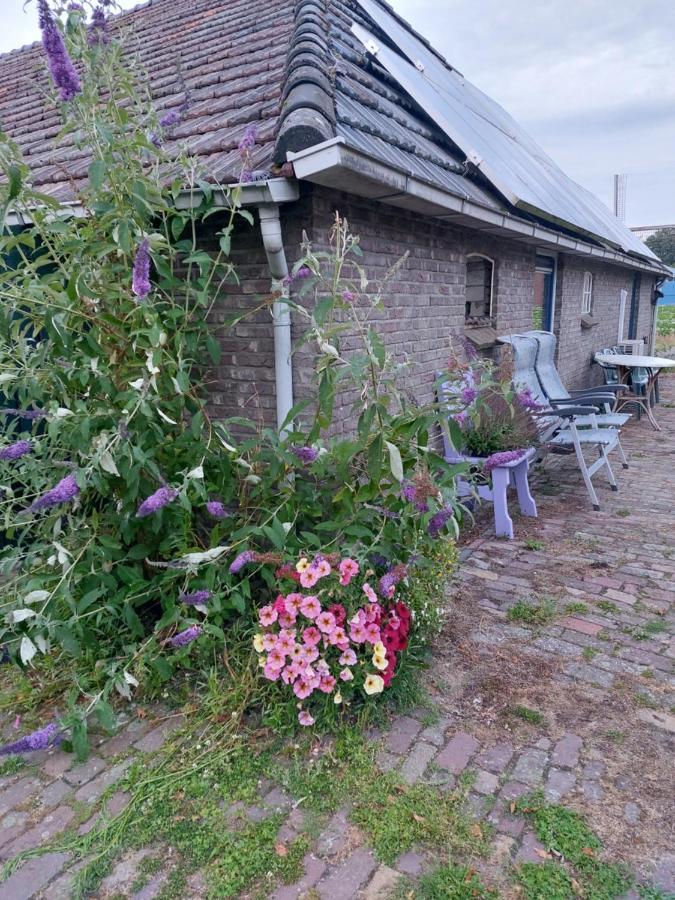 Logeerruimte In Gerenoveerde Boerderij In Wachtum Apartment Ngoại thất bức ảnh
