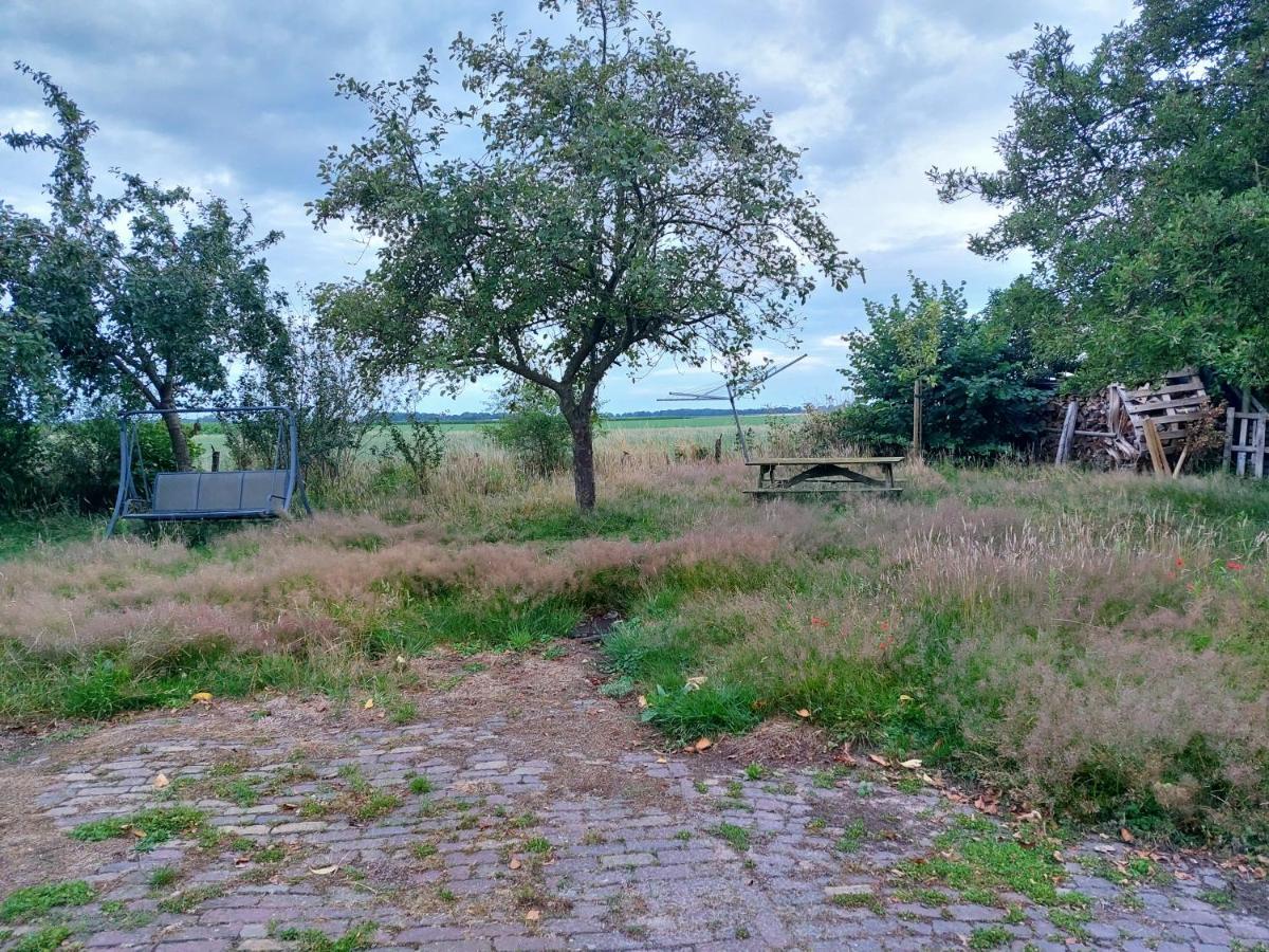 Logeerruimte In Gerenoveerde Boerderij In Wachtum Apartment Ngoại thất bức ảnh