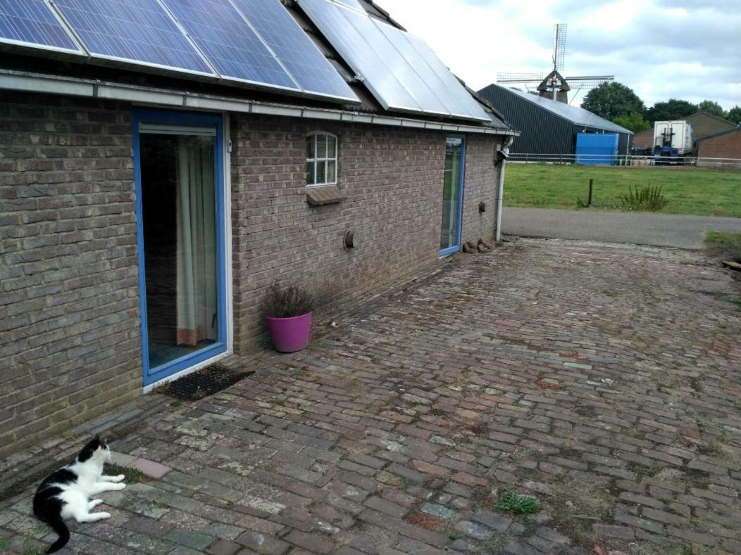 Logeerruimte In Gerenoveerde Boerderij In Wachtum Apartment Ngoại thất bức ảnh